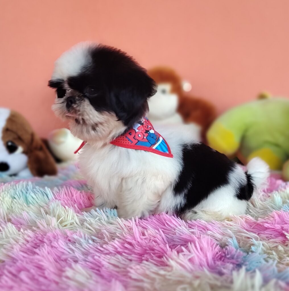 IMG_20231030_154323727_MF_PORTRAIT