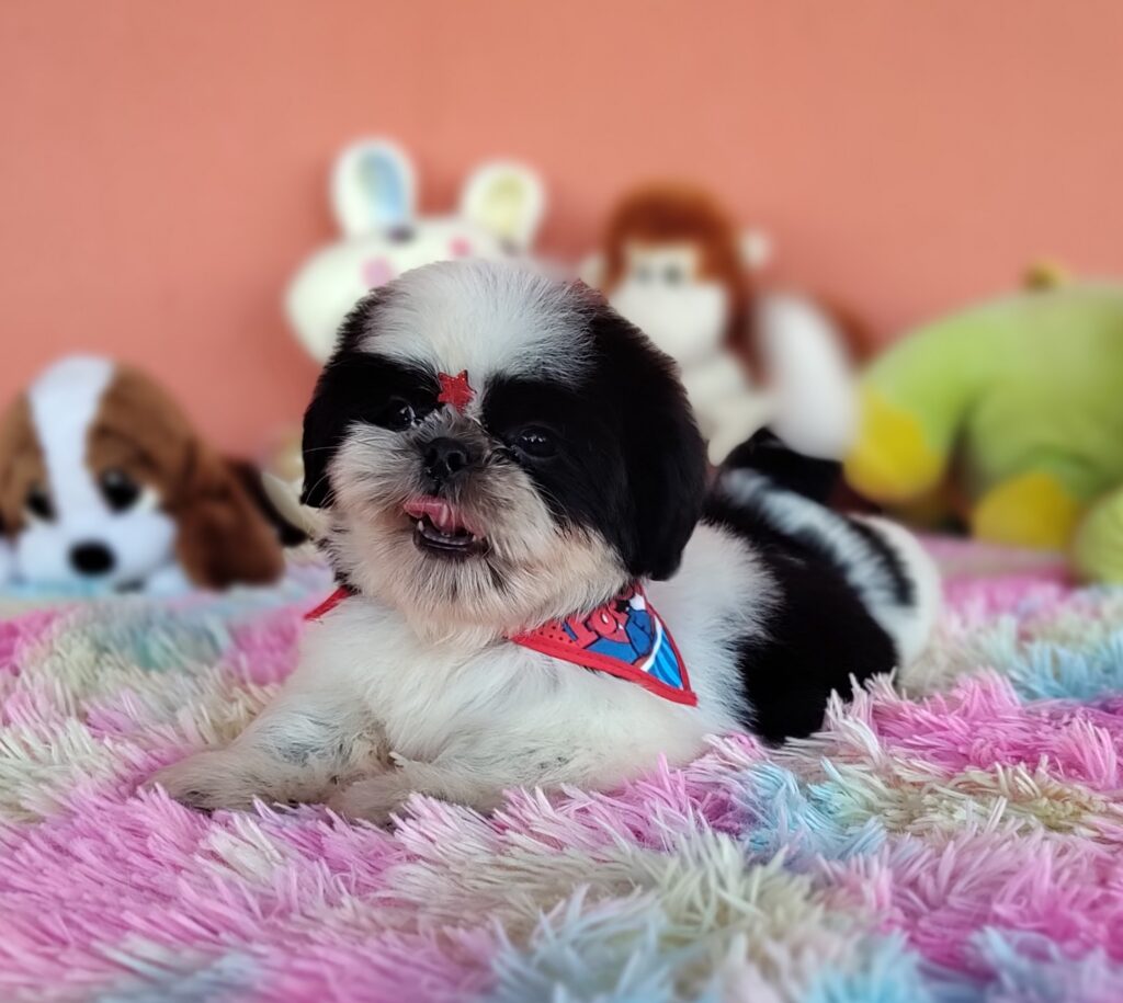 IMG_20231030_154329576_MF_PORTRAIT