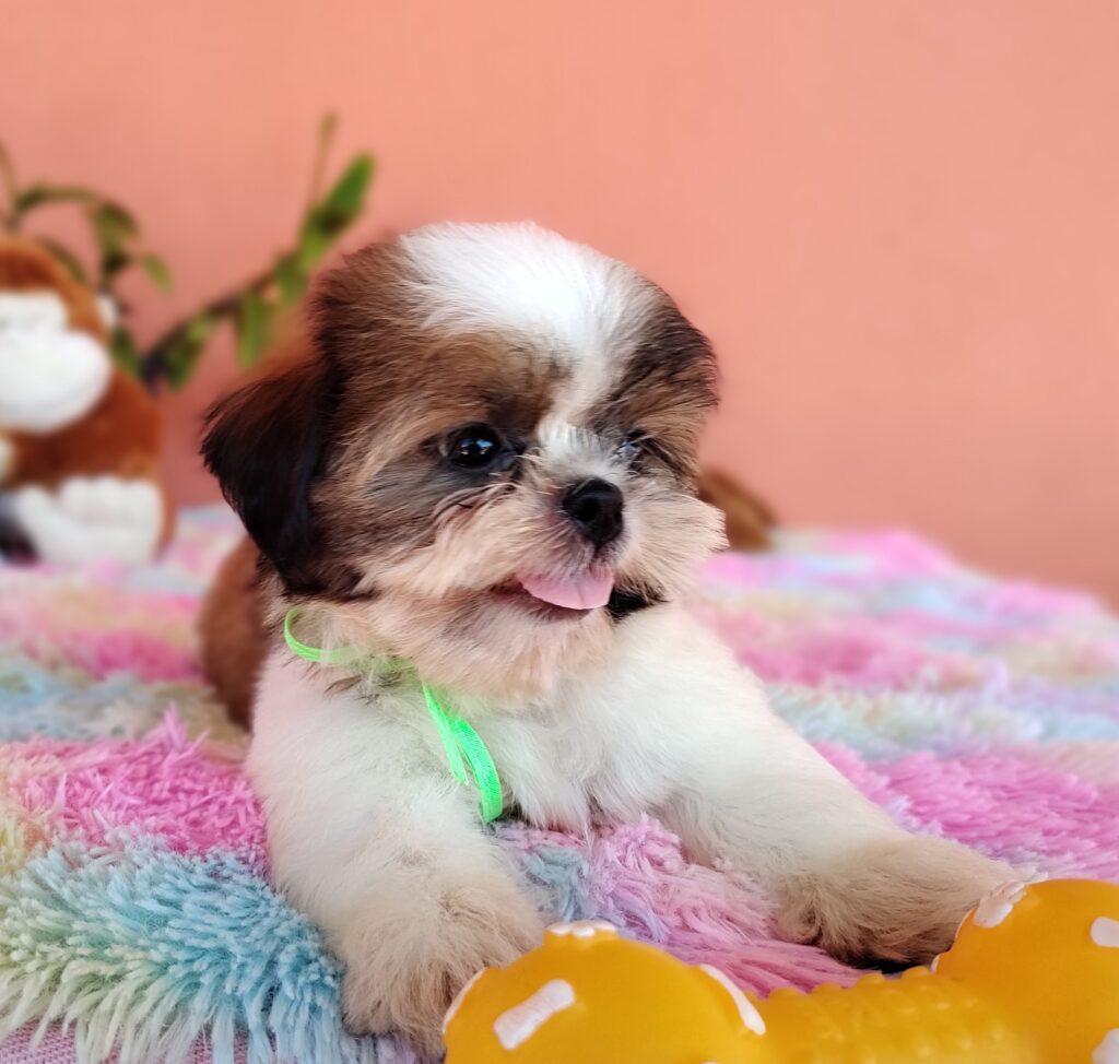 IMG_20231107_122444719_MF_PORTRAIT