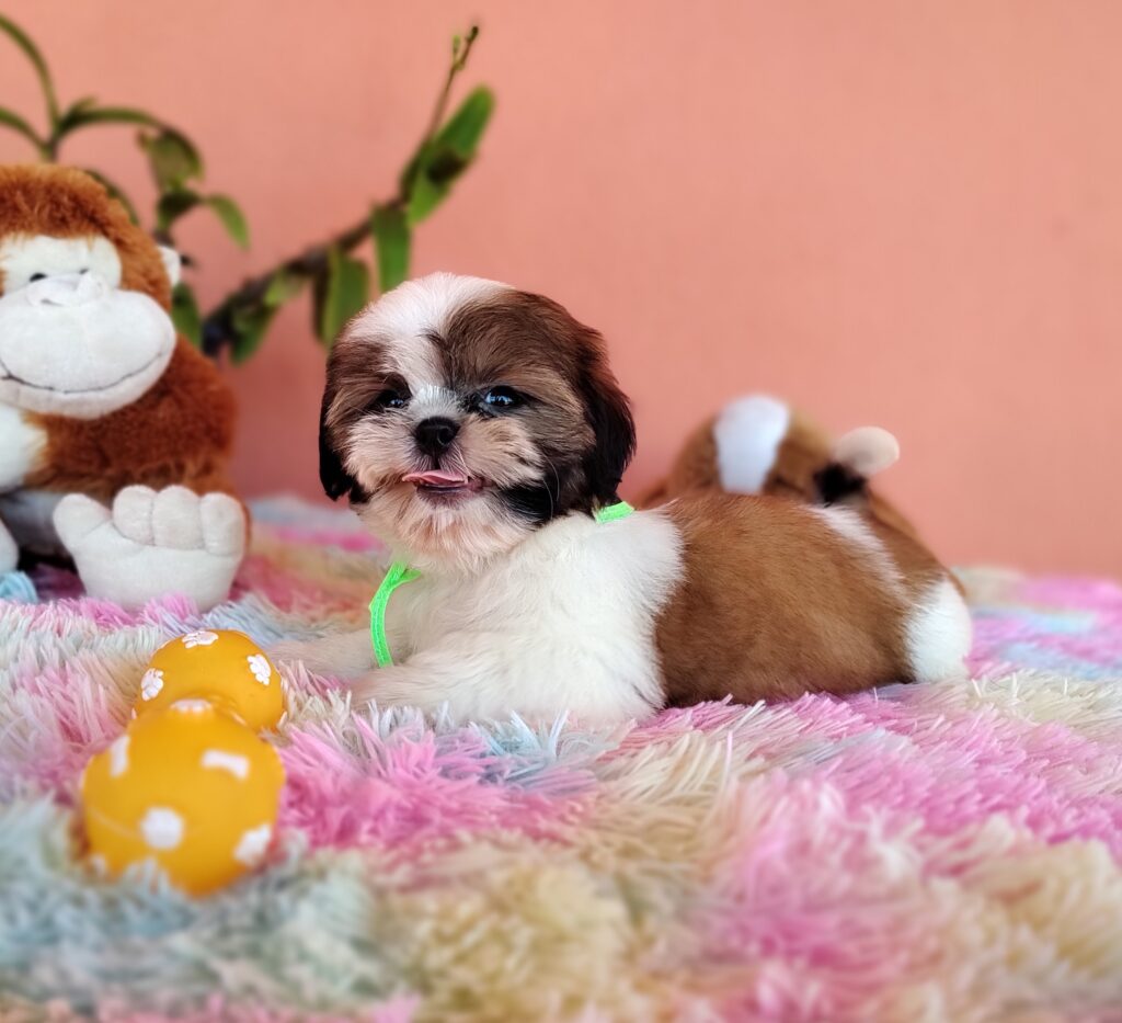 IMG_20231107_122502658_MF_PORTRAIT