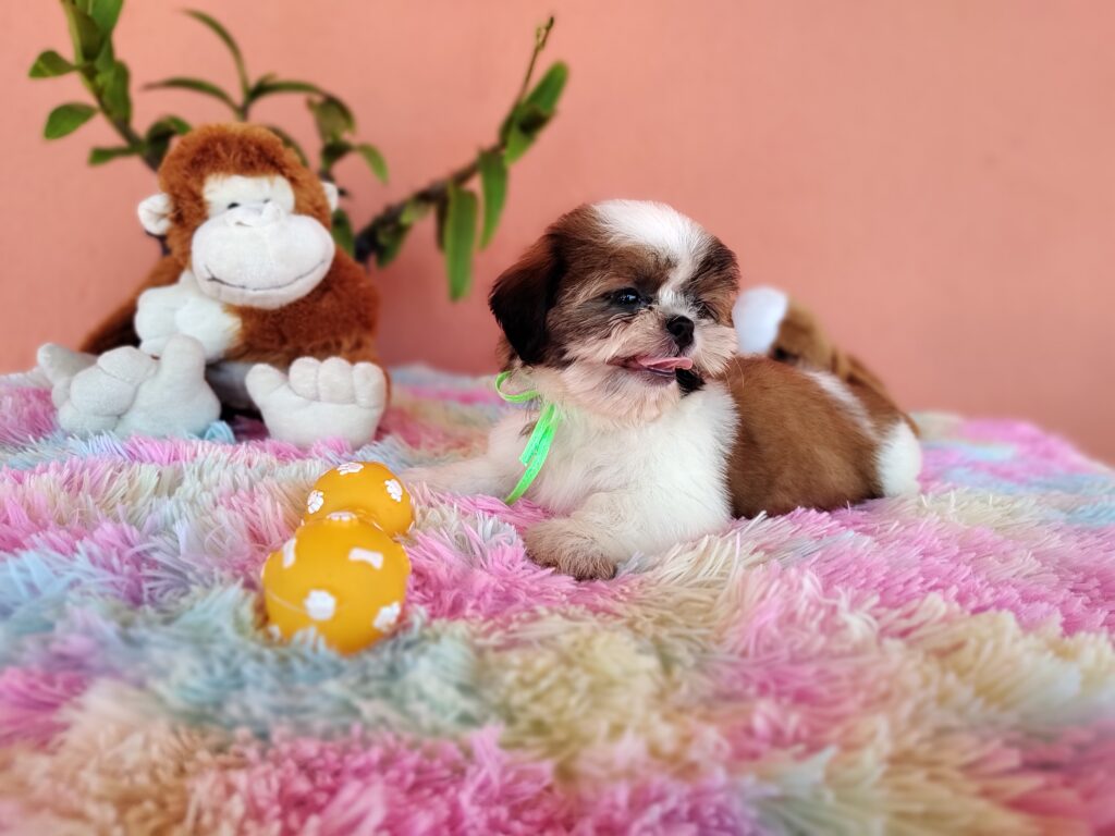 IMG_20231107_122504176_MF_PORTRAIT