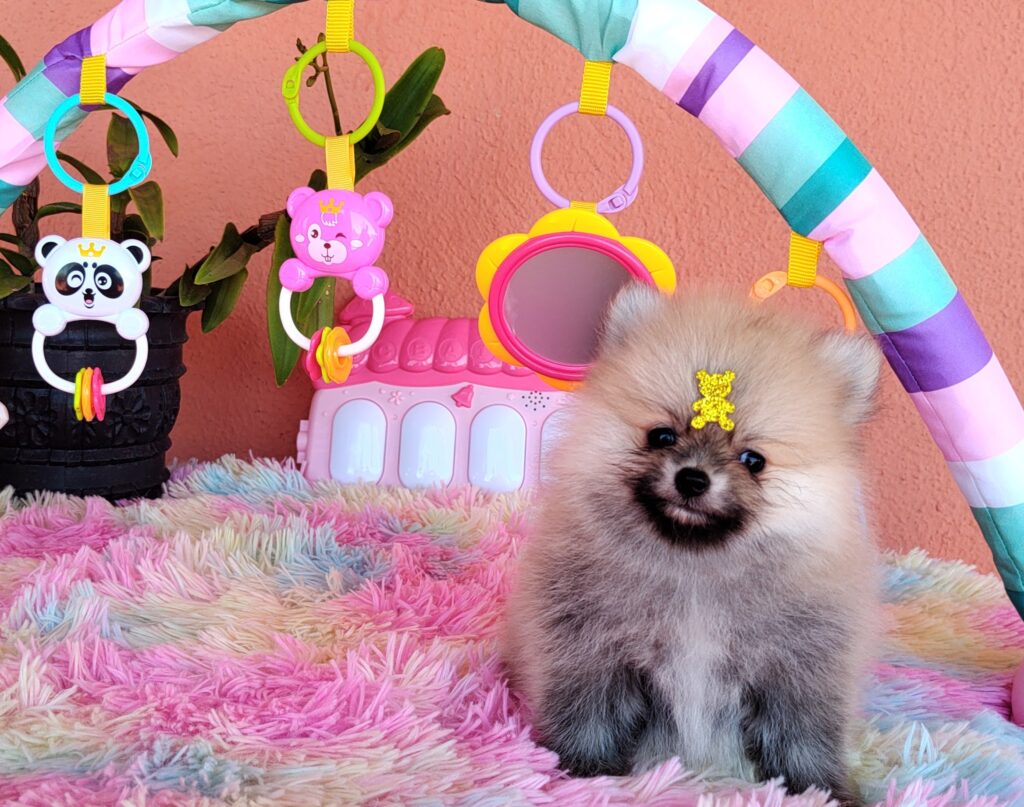 IMG_20231107_125838608