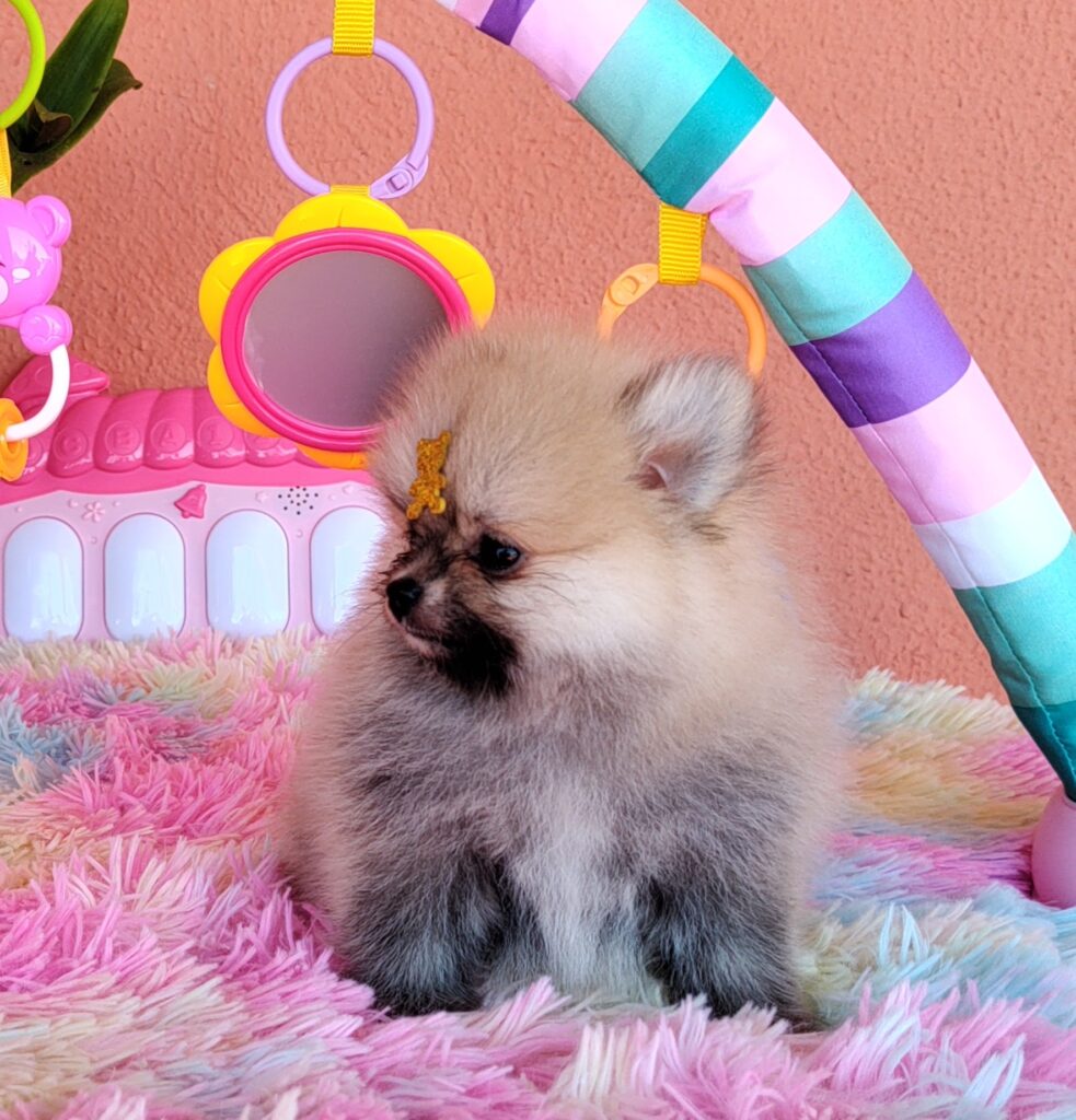 IMG_20231107_125839291_BURST000_COVER_COMP