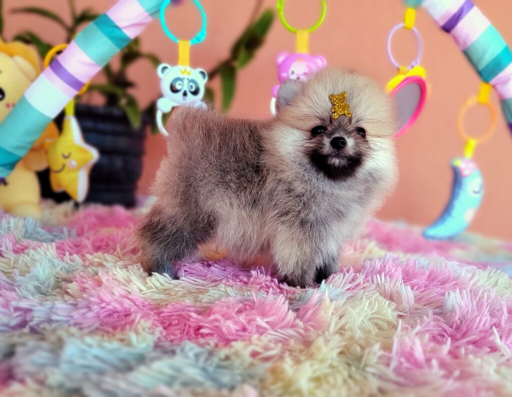 IMG_20231107_130003445_MF_PORTRAIT