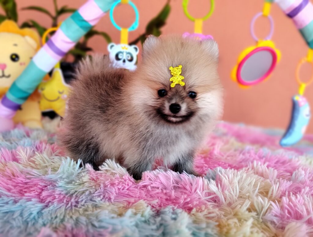 IMG_20231107_130223065_MF_PORTRAIT