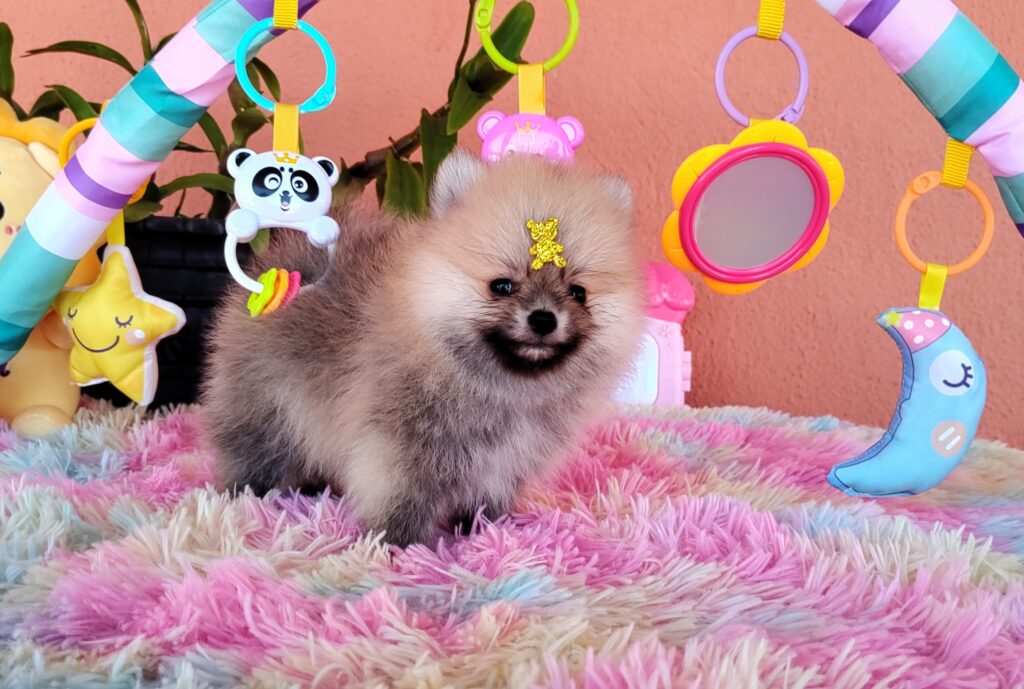 IMG_20231107_130444601