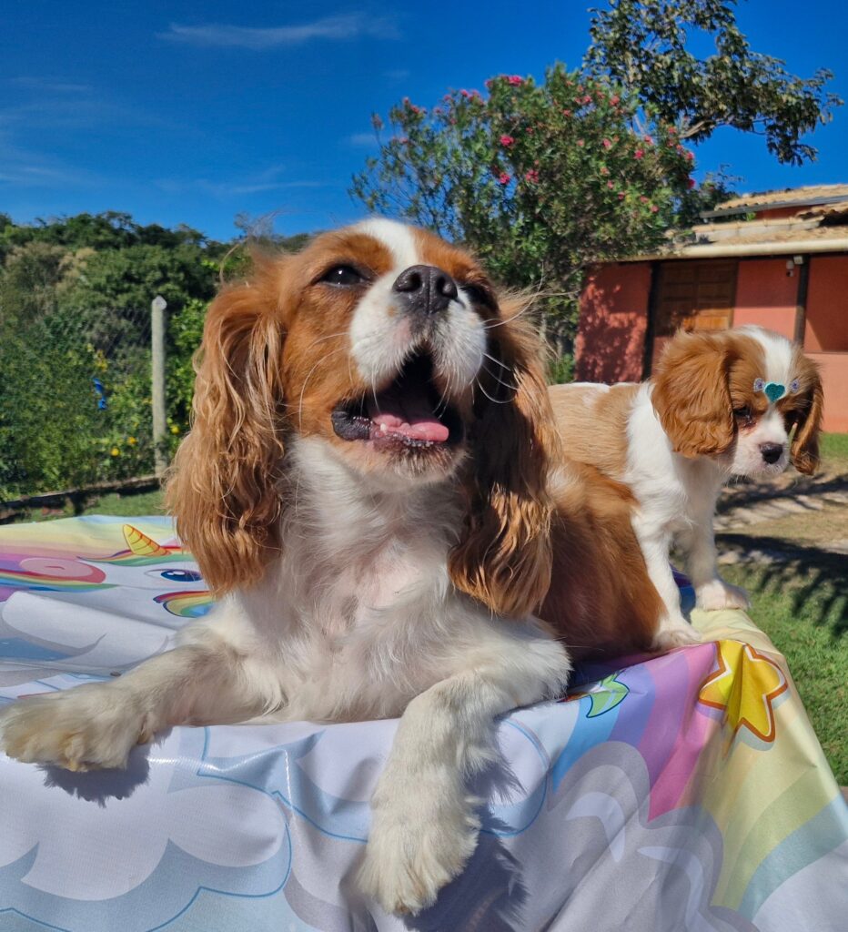 20240509_094408(0)~2