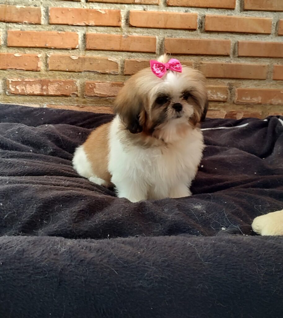 IMG_20240307_133951181_HDR