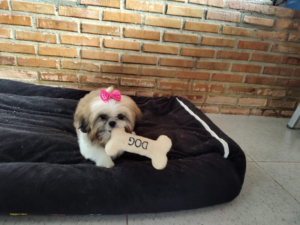 IMG_20240307_134230371