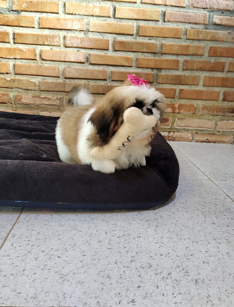 IMG_20240307_134302392~2