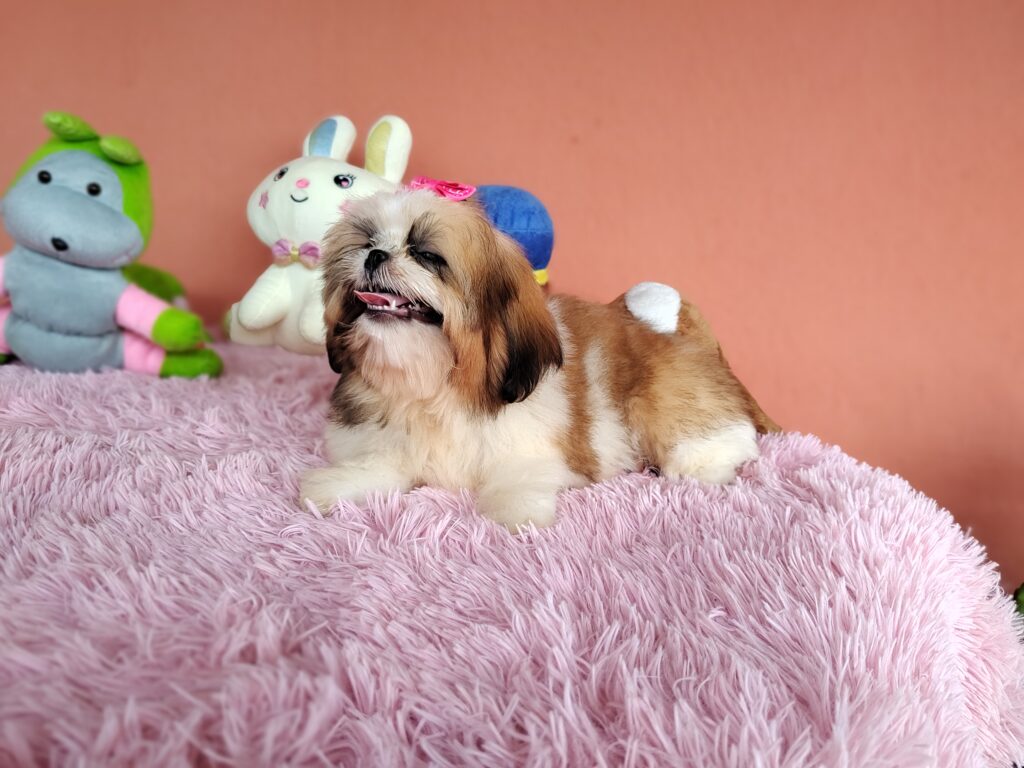 IMG_20240307_134737270_MF_PORTRAIT