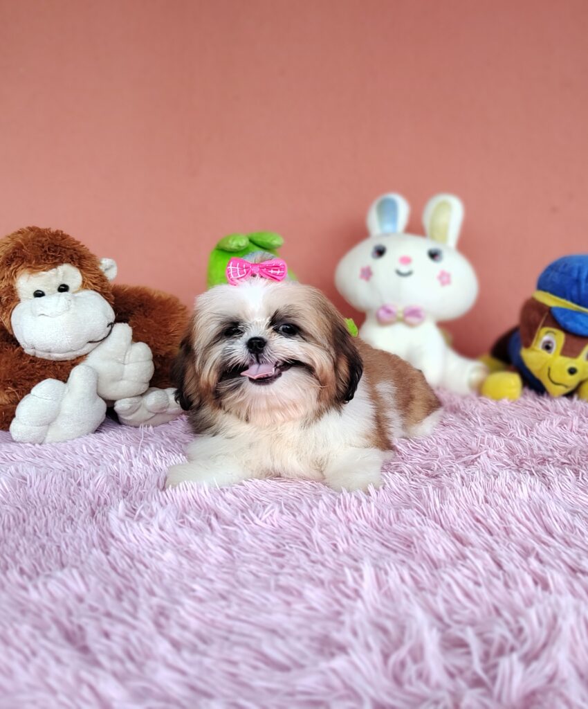 IMG_20240307_134810640_MF_PORTRAIT