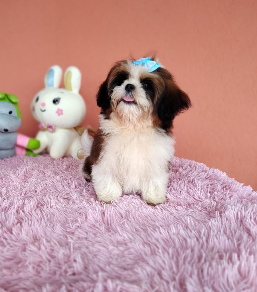 IMG_20240307_135115927_MF_PORTRAIT