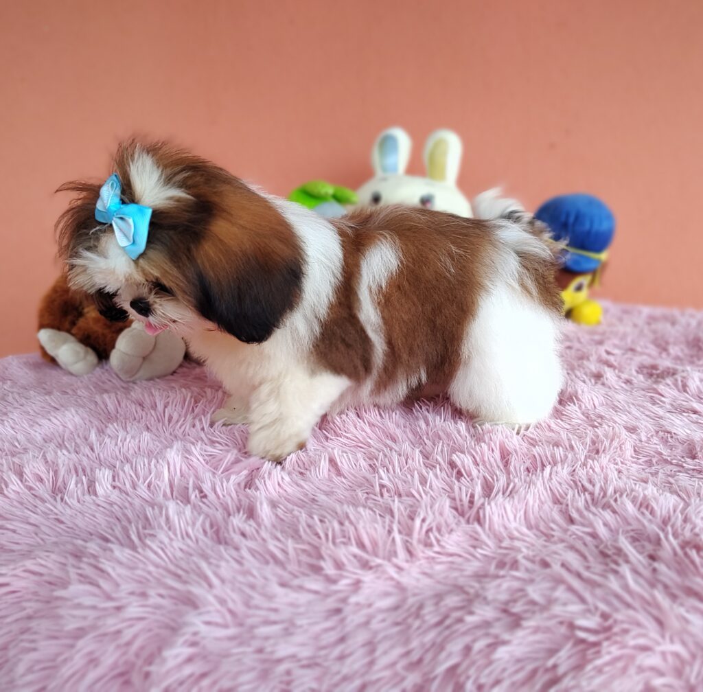 IMG_20240307_135135004_MF_PORTRAIT