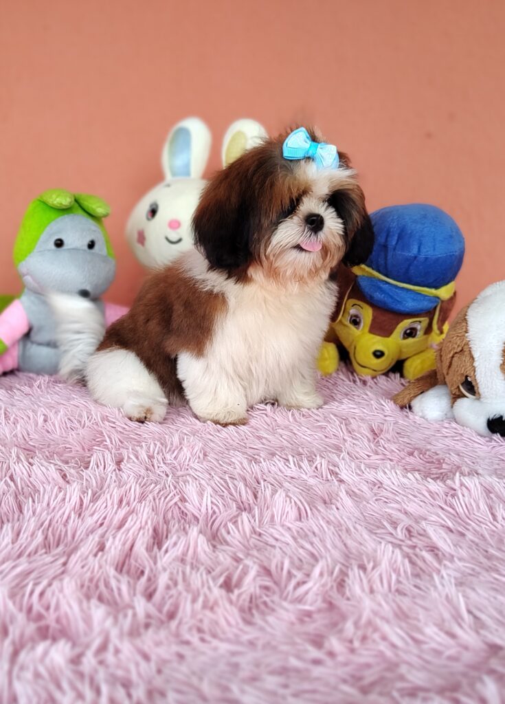 IMG_20240307_135217225_MF_PORTRAIT