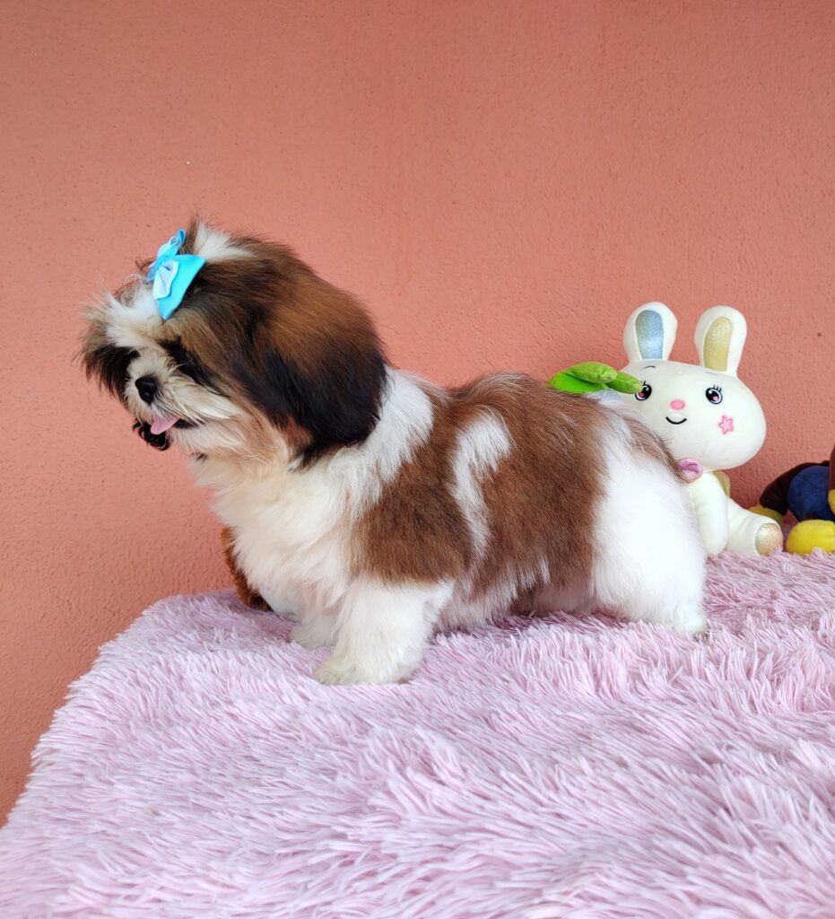 IMG_20240307_135249157