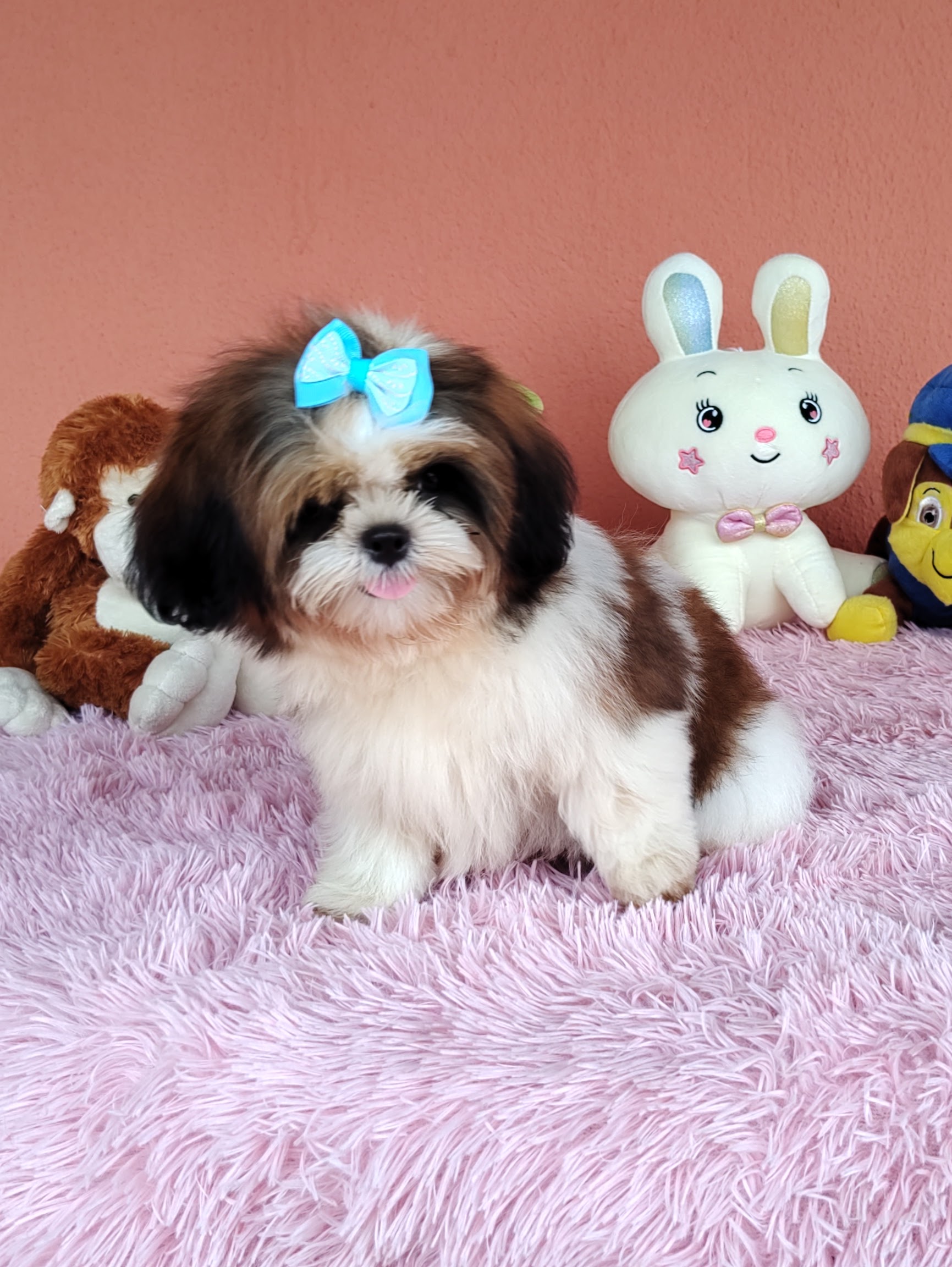 IMG_20240307_135439156