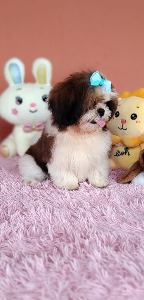 IMG_20240307_135502527_MF_PORTRAIT