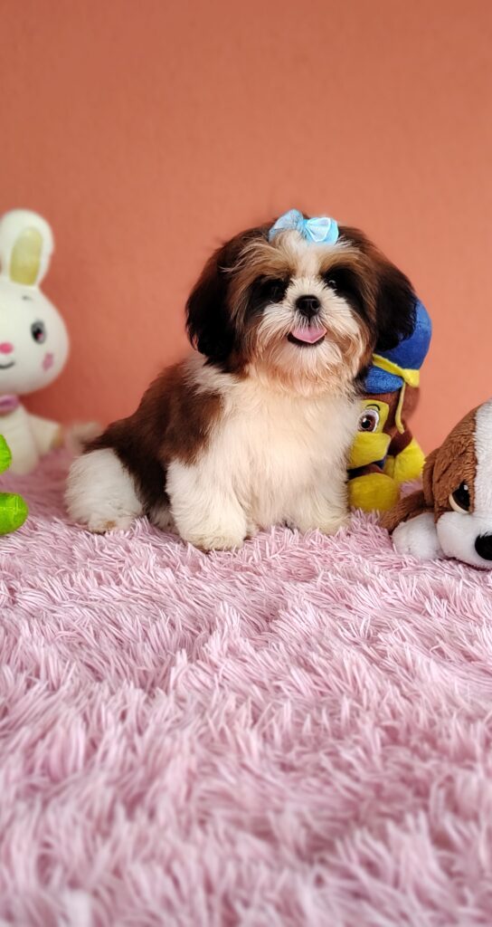 IMG_20240307_135658930_MF_PORTRAIT