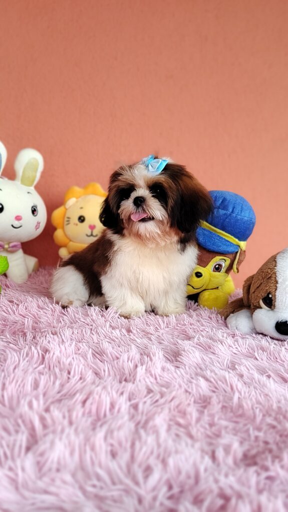 IMG_20240307_135719900_MF_PORTRAIT