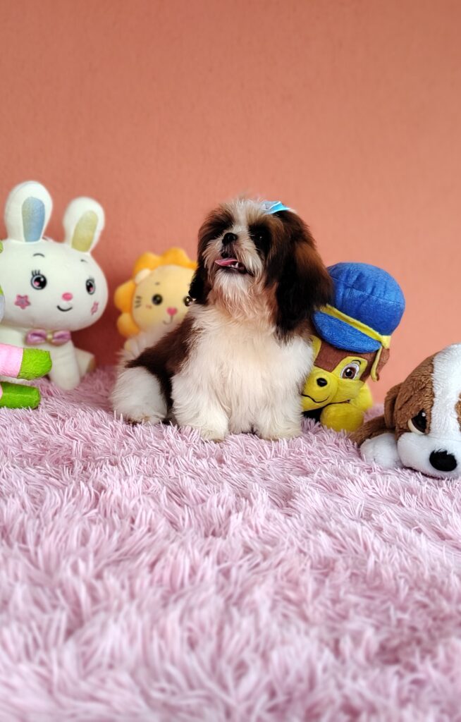 IMG_20240307_135723645_MF_PORTRAIT