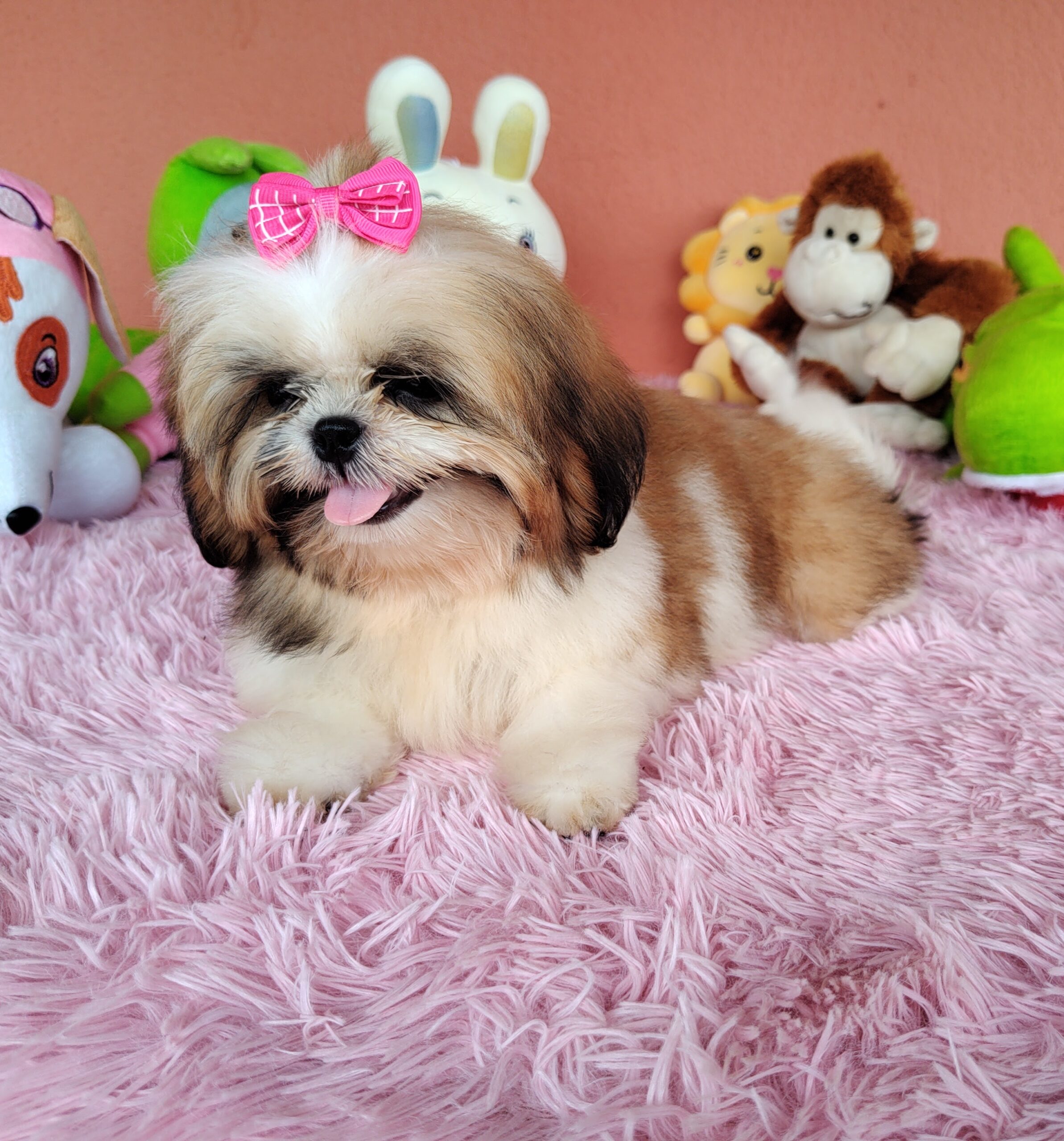 IMG_20240307_140056896