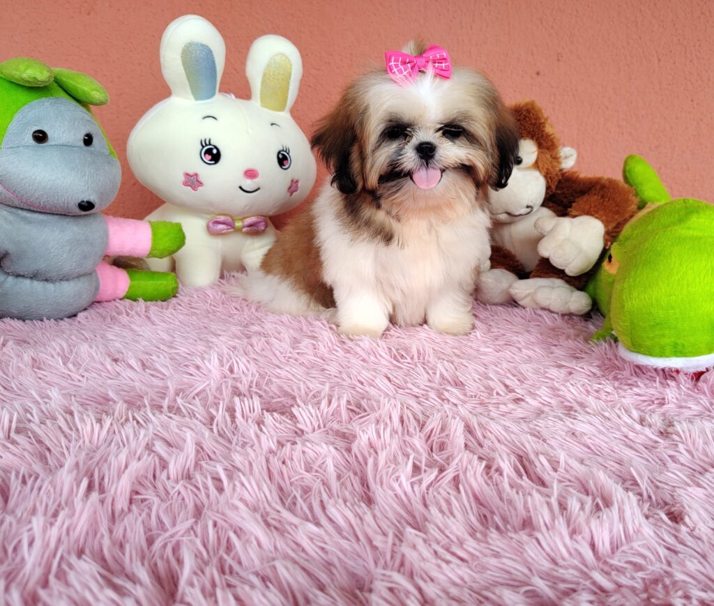 IMG_20240307_140118820