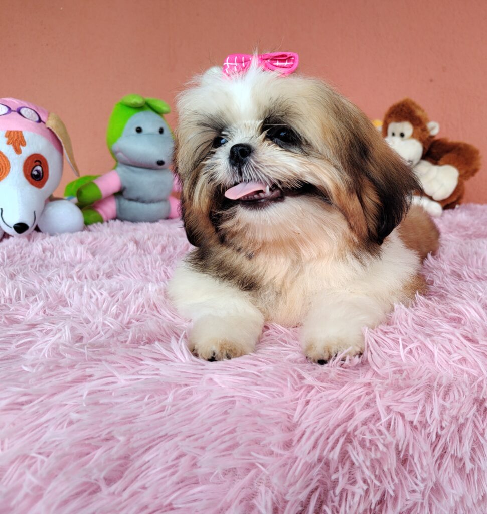 IMG_20240307_140222775