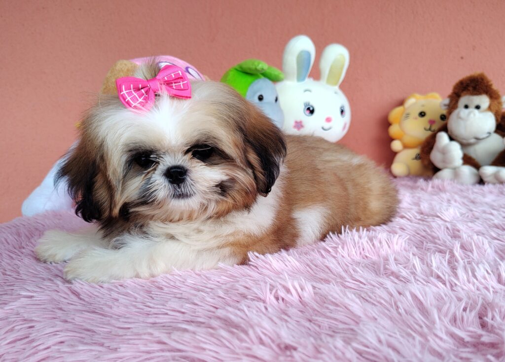 IMG_20240307_140258897