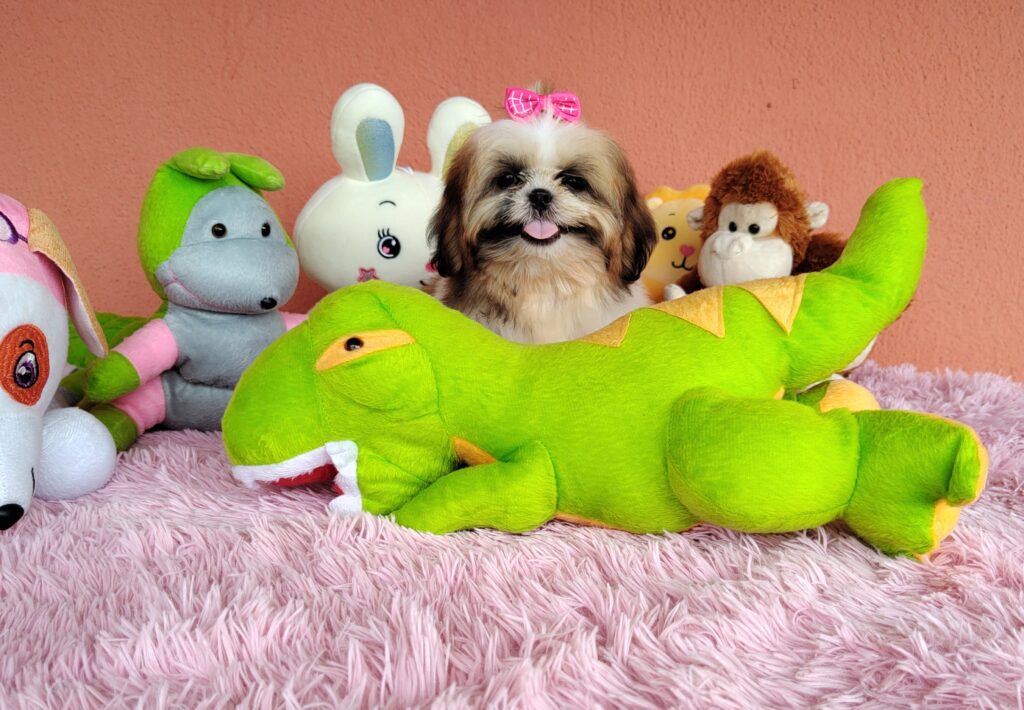 IMG_20240307_140333391