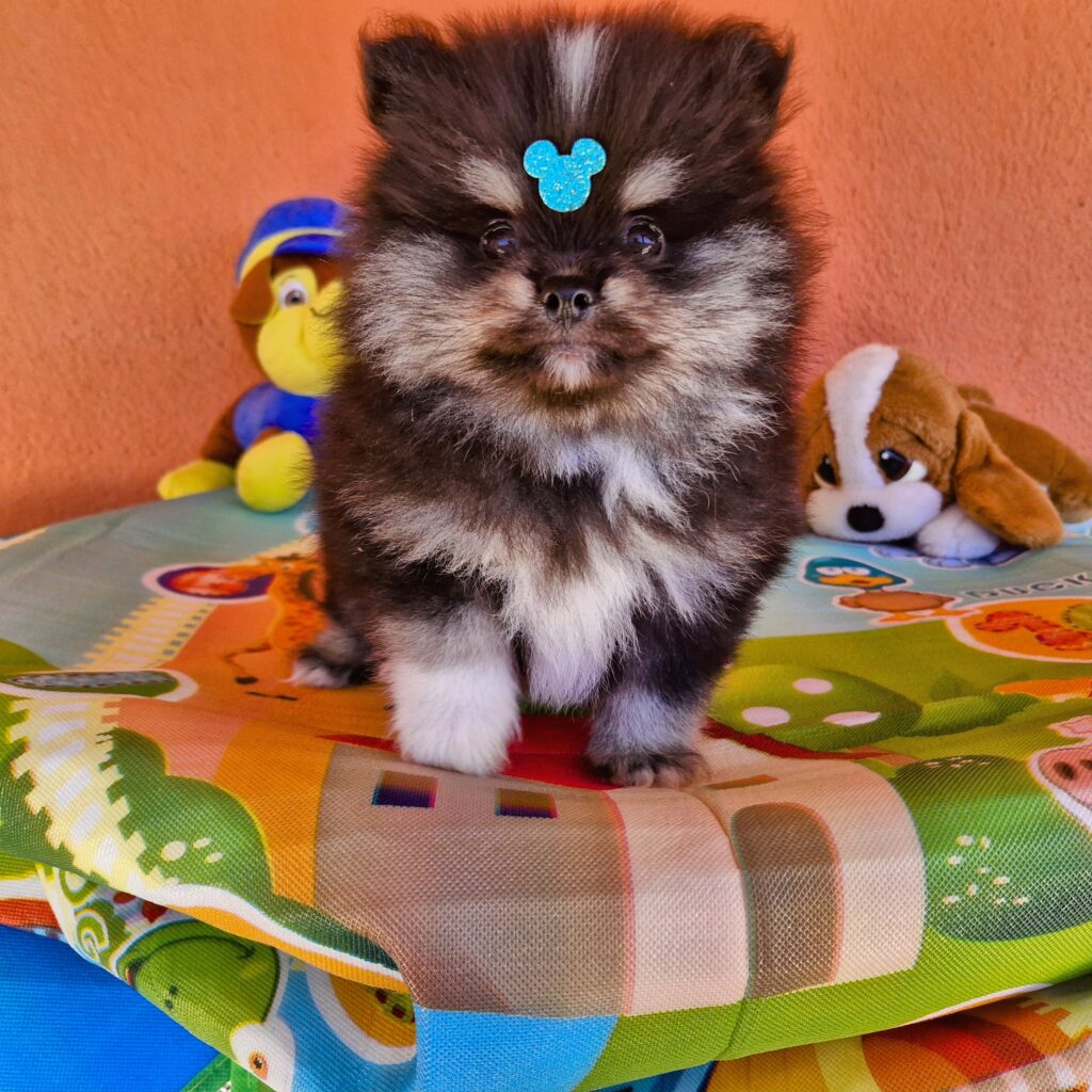 20240613_112910(0)~2