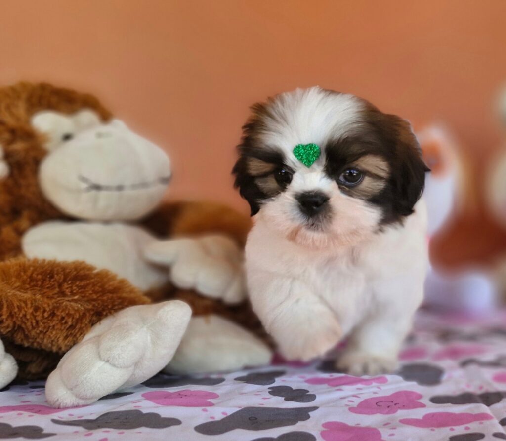 original_c9f9f2e6-1127-490a-a484-12bc73696db7_20240820_125557