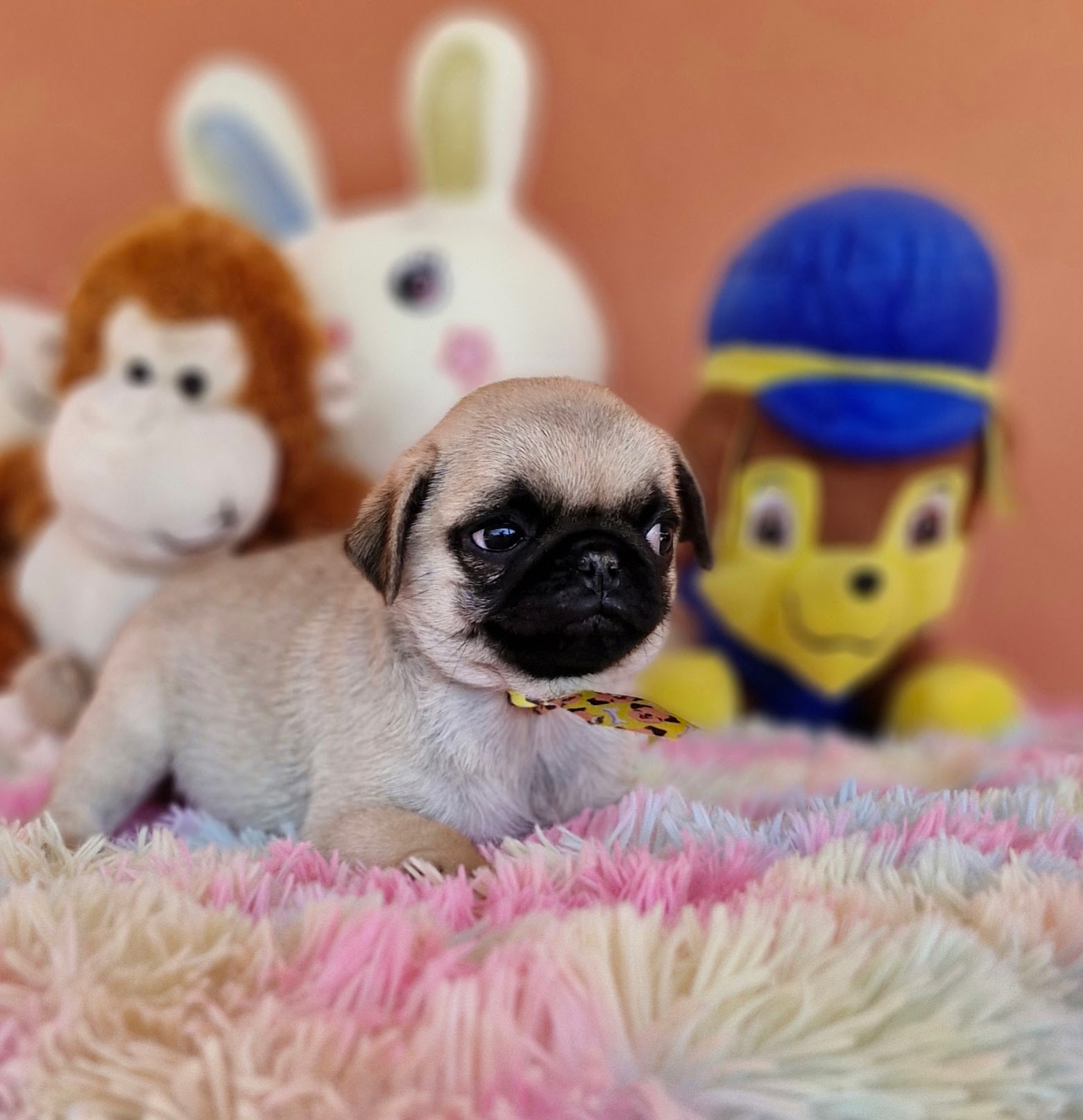 original_ce48e742-5eeb-4733-adfd-d80f9e0ed012_20240820_102359