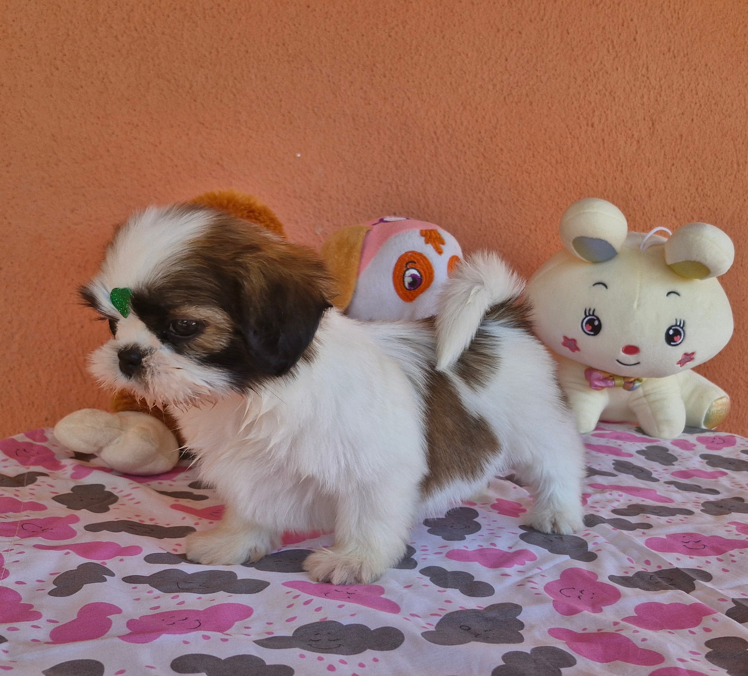 original_d4cf4929-e7c9-4ed6-a197-8e2678c50310_20240820_131642