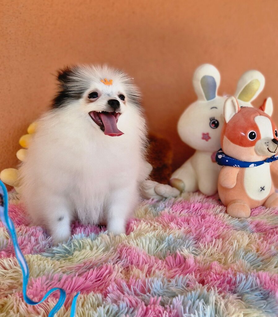 original_e7b6e831-93ef-46f2-988c-539e97d5345a_20240820_111345