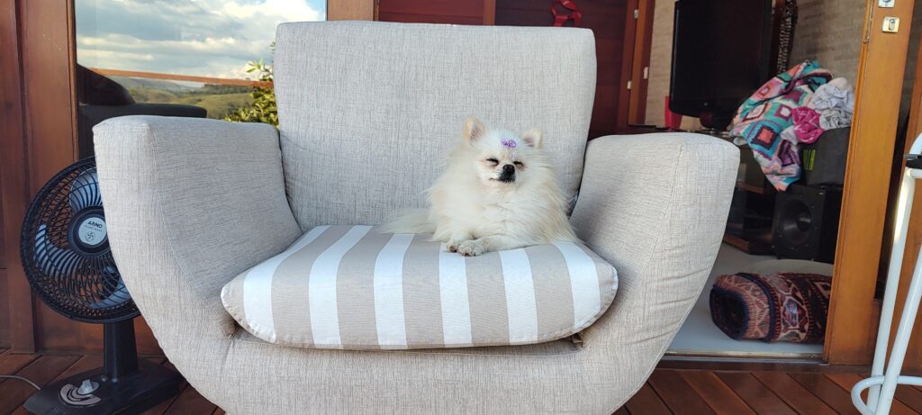 IMG_20230326_163657913 (1)