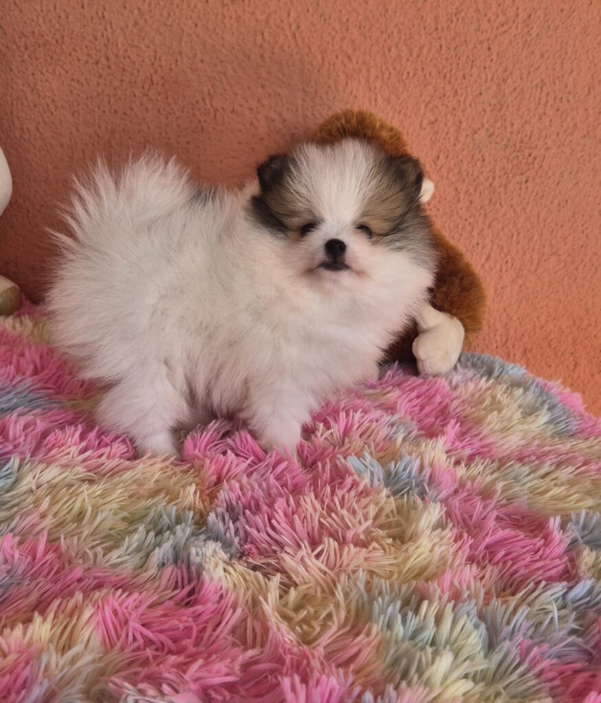 20250401_112104(0)~2