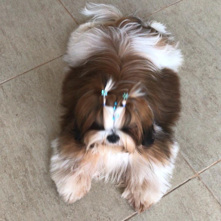 IMG_20210322_174200_279