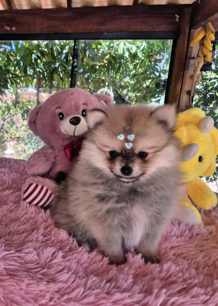 20250903_122745(0)~2