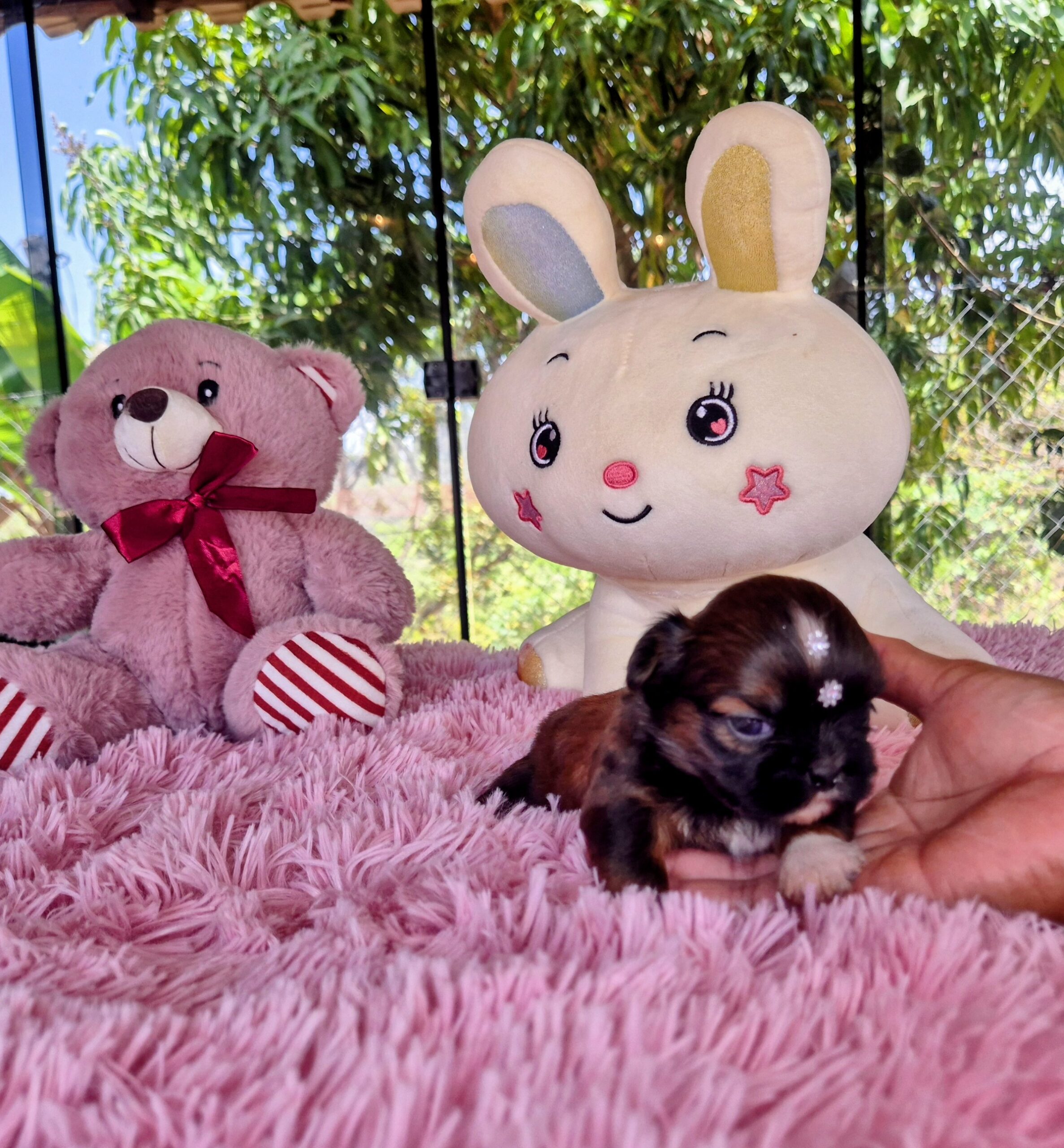 20251010_122044~2 - Copia