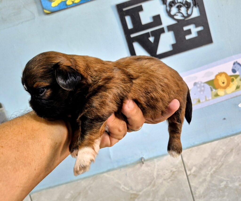 20251010_122506~2 - Copia