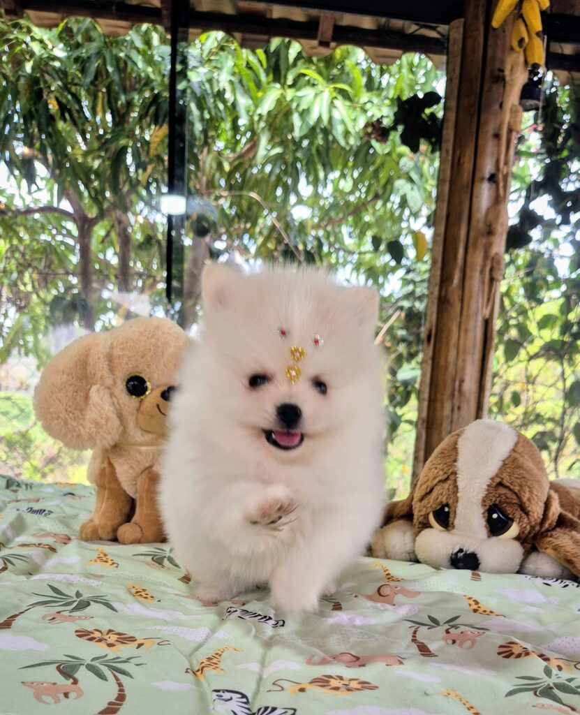 20251030_123114(0)~2