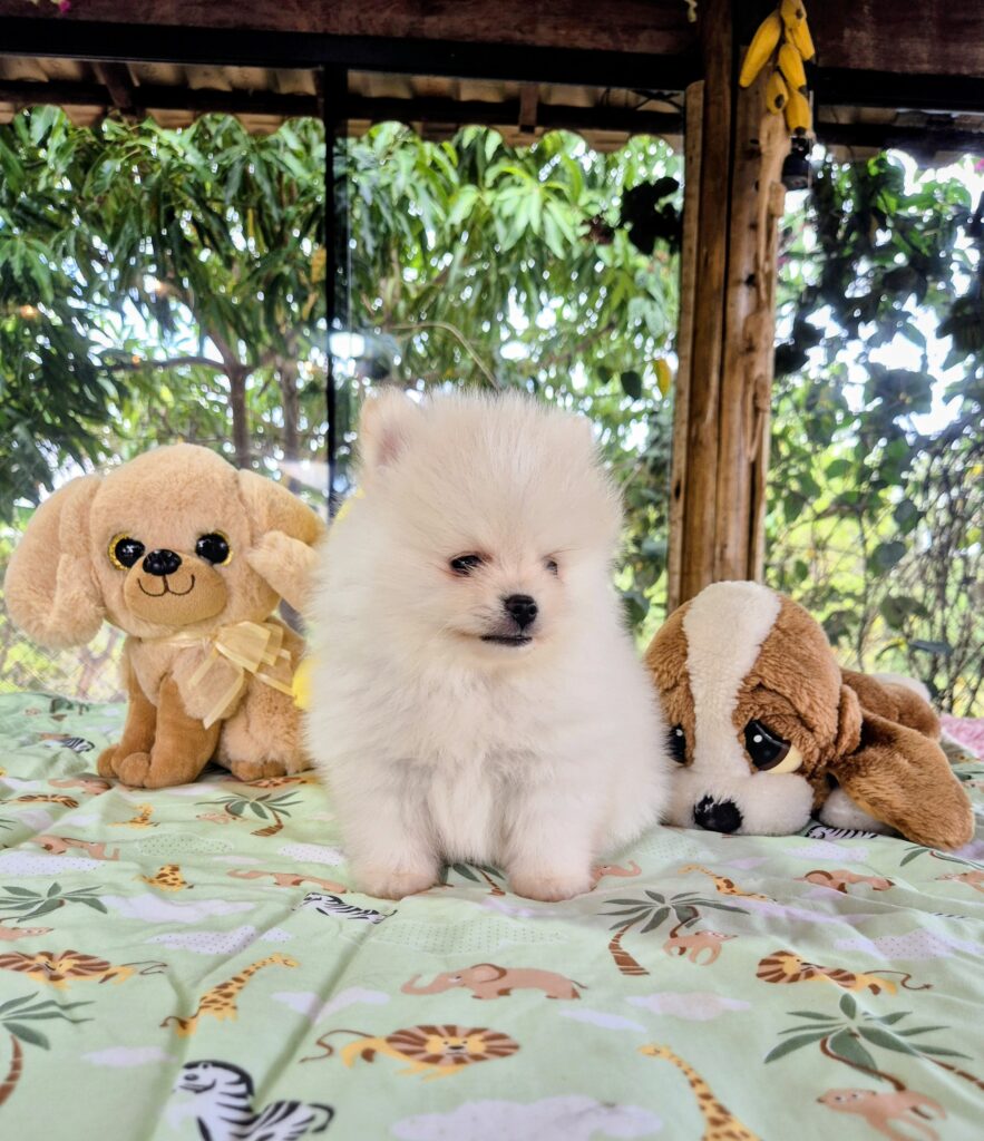 20251030_123452(0)~2