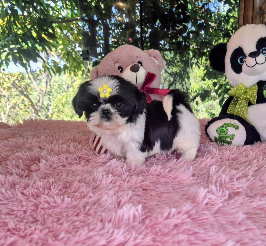 20260418_134741(0)~2